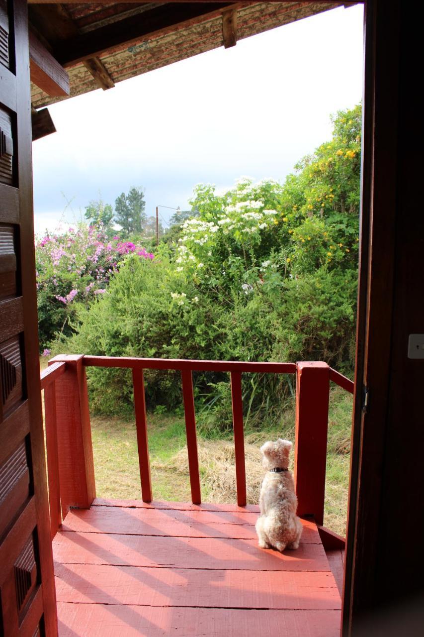 Hotel Las Fresas Del Volcan Poas Sabana Redonda Exterior foto